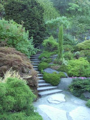 Image049.jpg