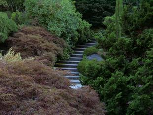 Image050.jpg