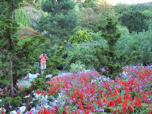 Image051.jpg