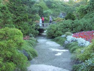 Image052.jpg