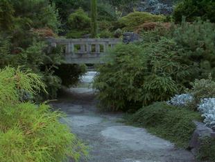 Image053.jpg