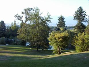 Image054.jpg