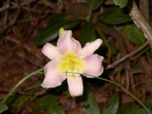 Image057.jpg