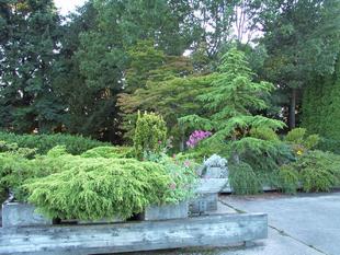 Image064.jpg