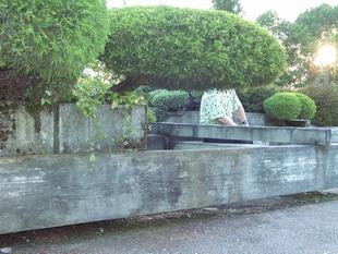 Image068.jpg