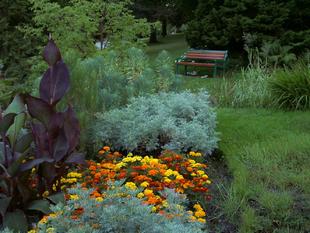 Image078.jpg