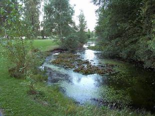 Image082.jpg