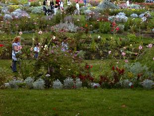 Image084.jpg