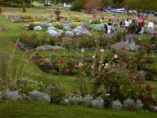 Image085.jpg