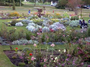Image088.jpg
