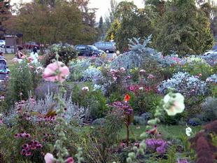 Image089.jpg
