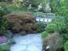 Image043.jpg