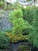Image046.jpg