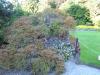 Image047.jpg