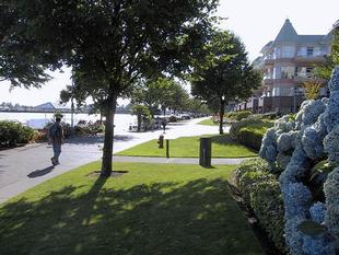 106-0633_img.jpg