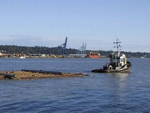 106-0655_img.jpg