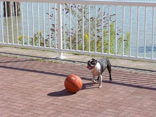 Image003.jpg