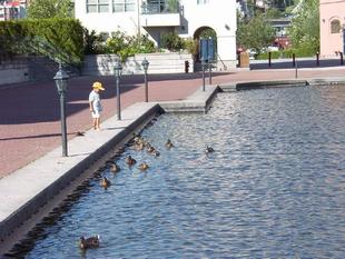 Image008.jpg