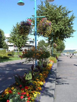 Image024.jpg