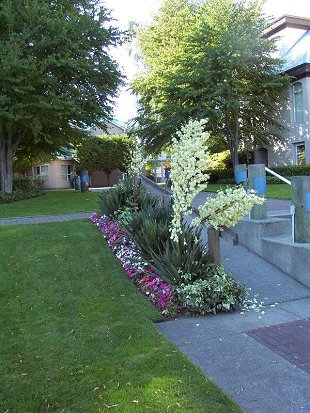Image029.jpg
