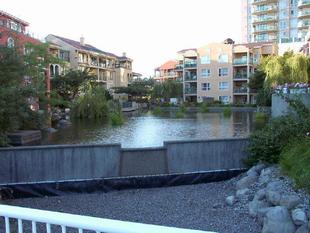 Image056.jpg