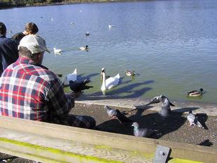 113-1312_img.jpg