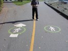 Pedestrian/Bikes