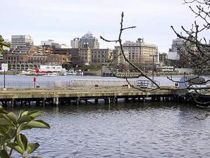 thmb_Img_1640.jpg